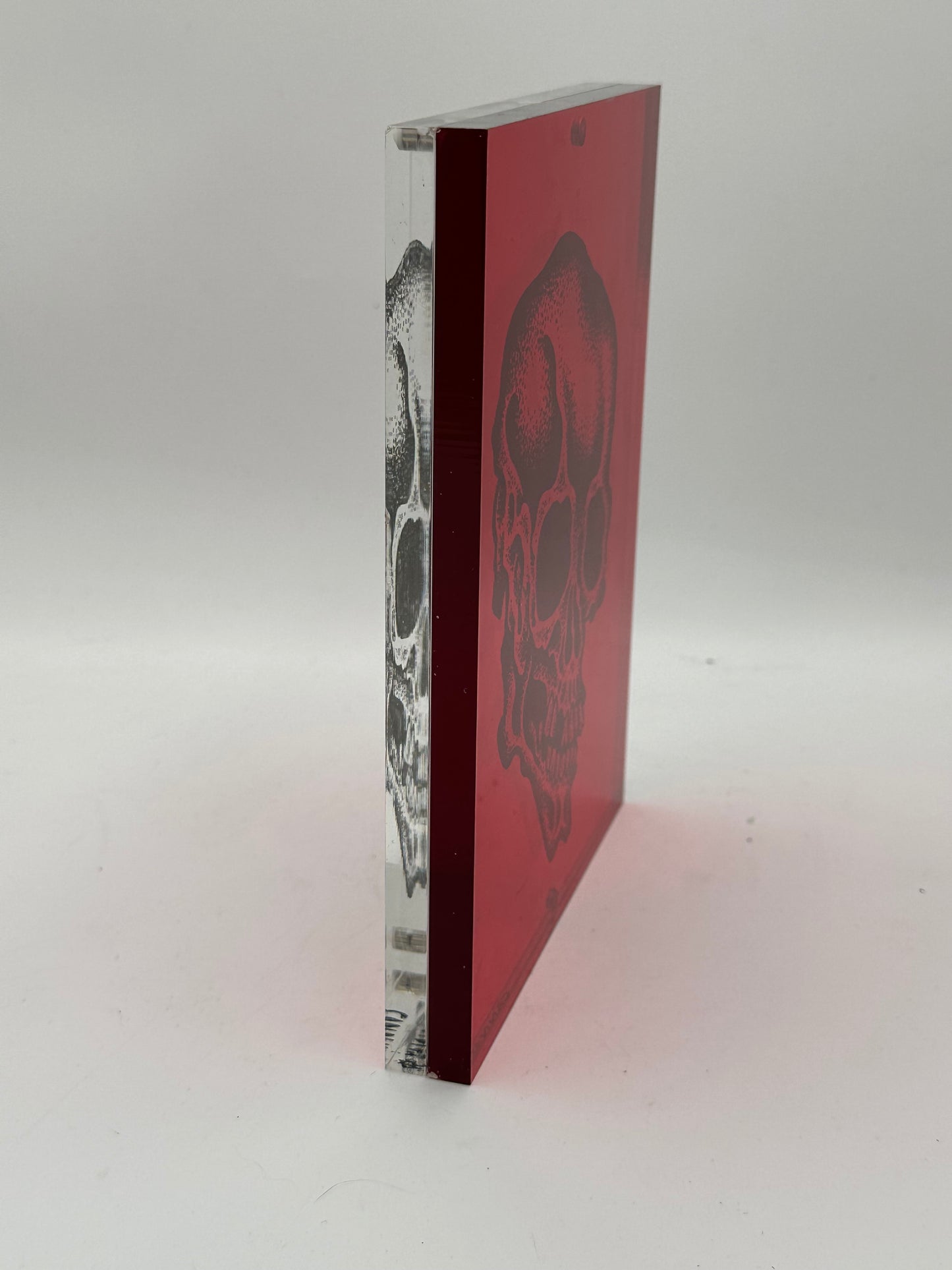 Lucite Skull