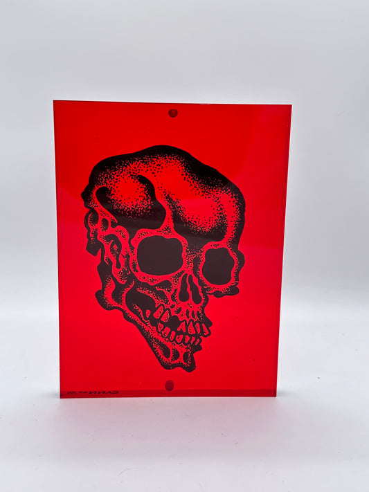 Lucite Skull