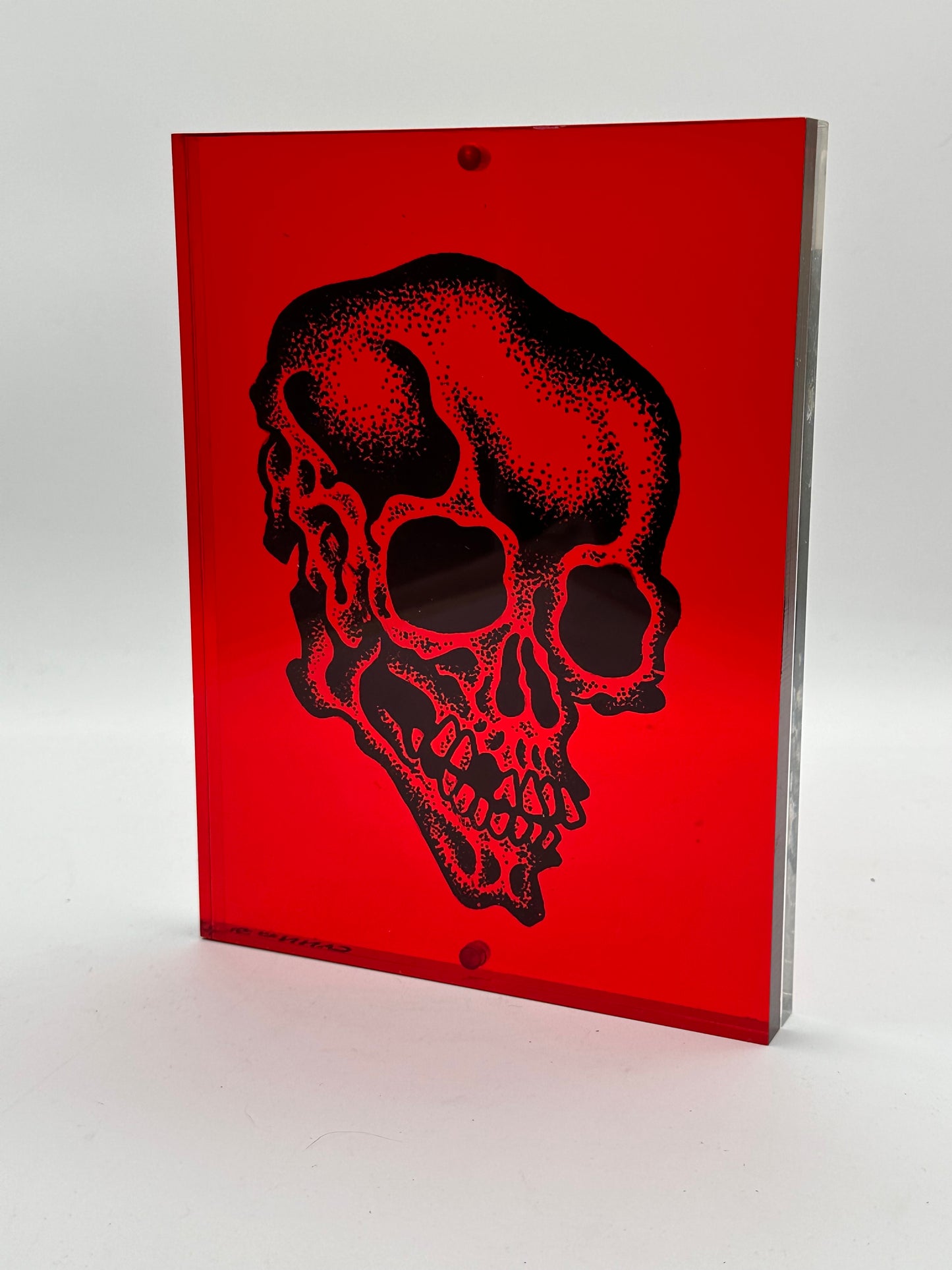 Lucite Skull