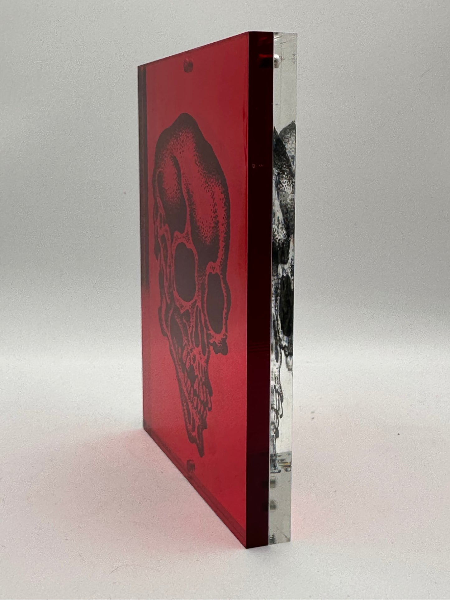 Lucite Skull