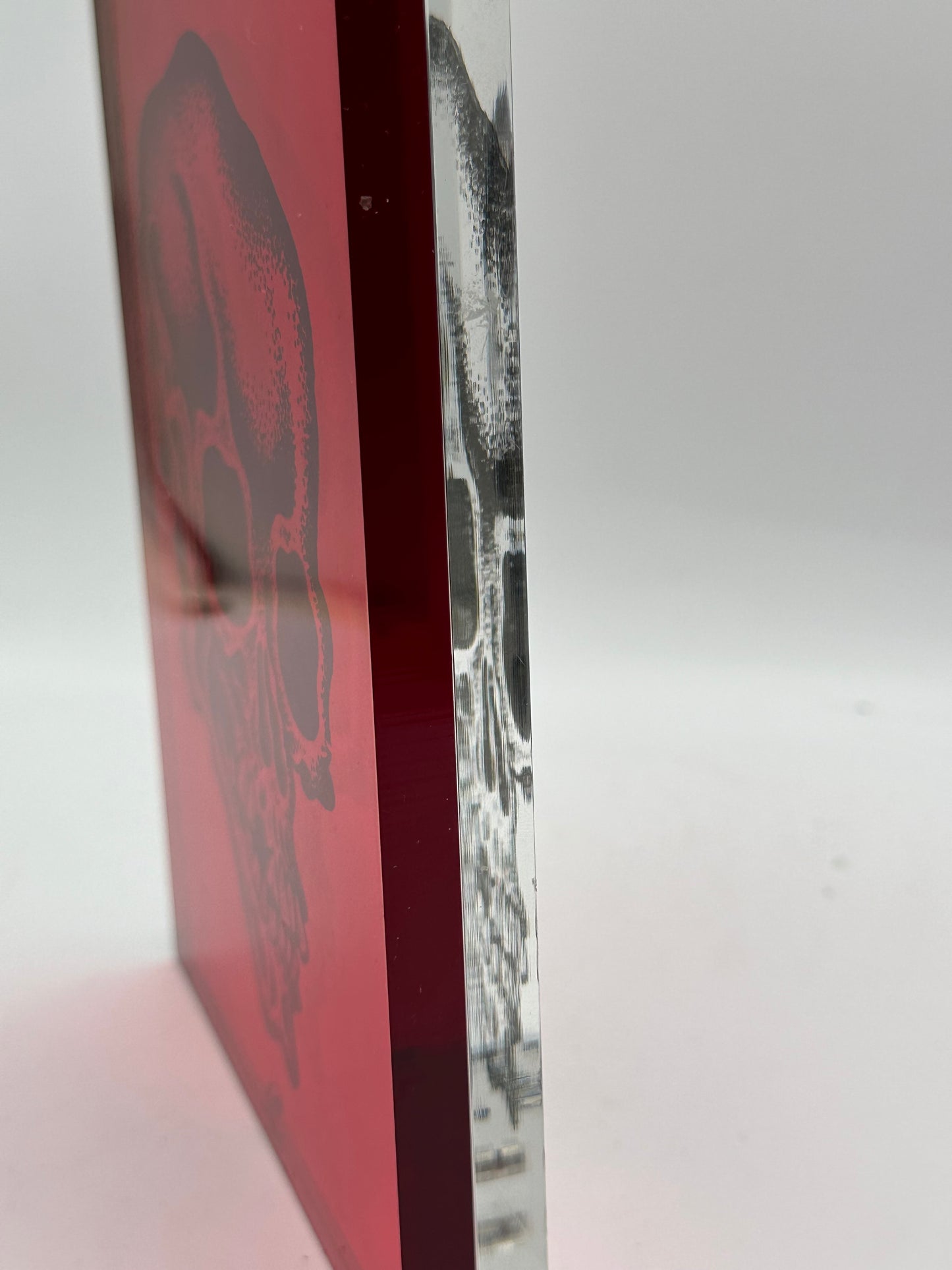 Lucite Skull