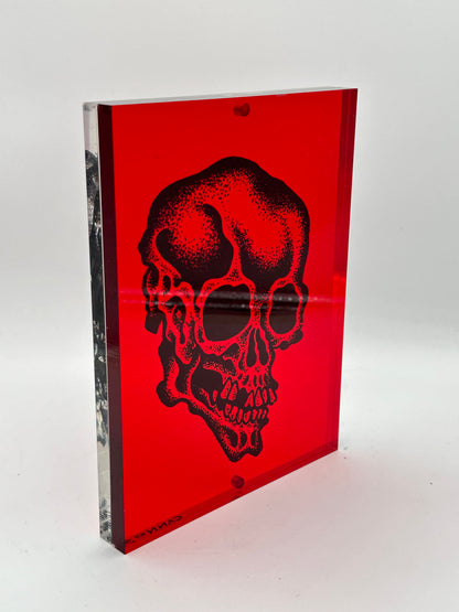 Lucite Skull
