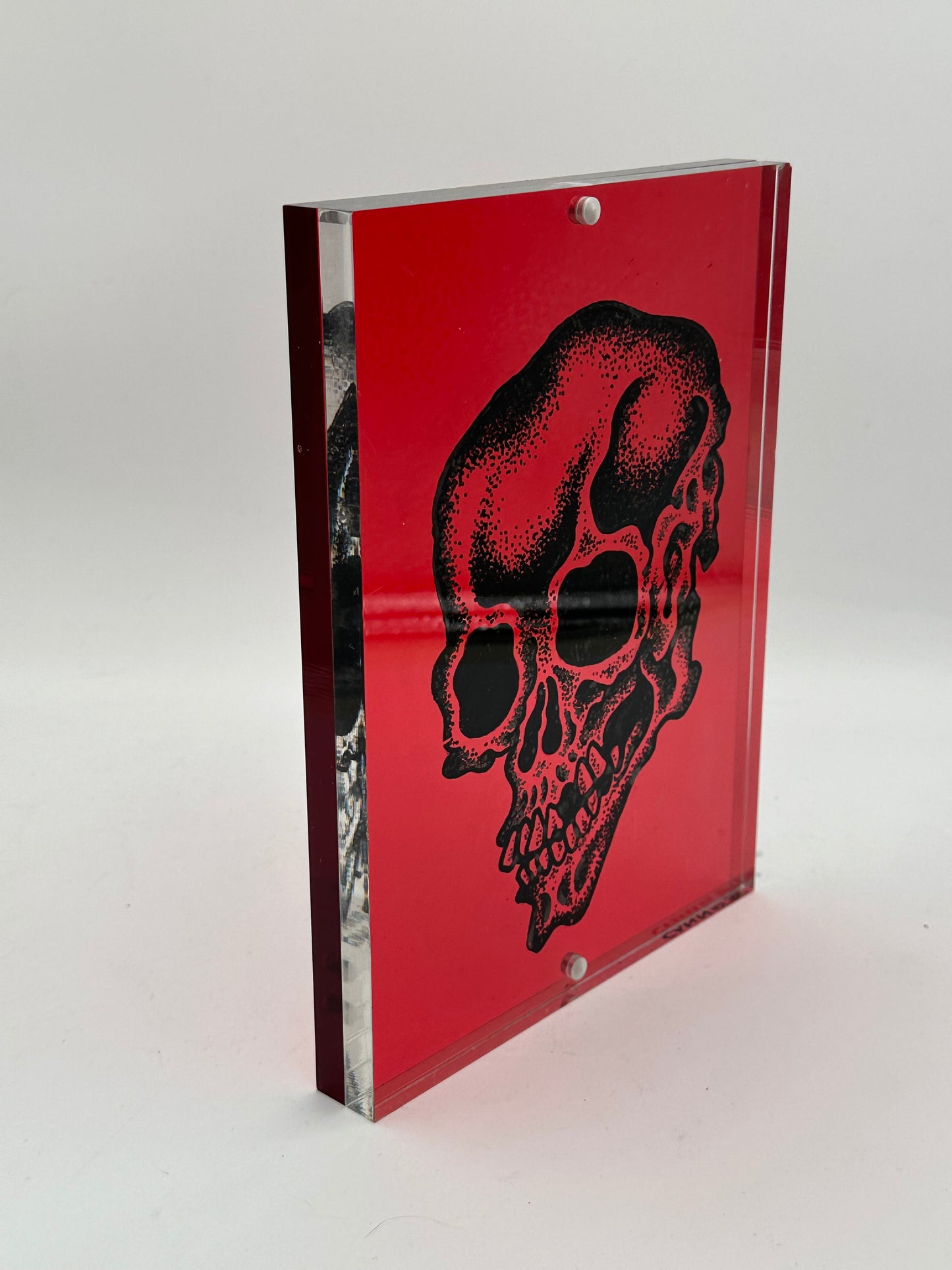 Lucite Skull